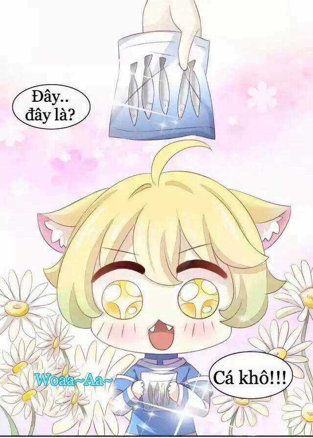 Dưới Móng Vuốt Mèo - Chapter 11 - Trang 30