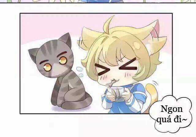 Dưới Móng Vuốt Mèo - Chapter 11 - Trang 31