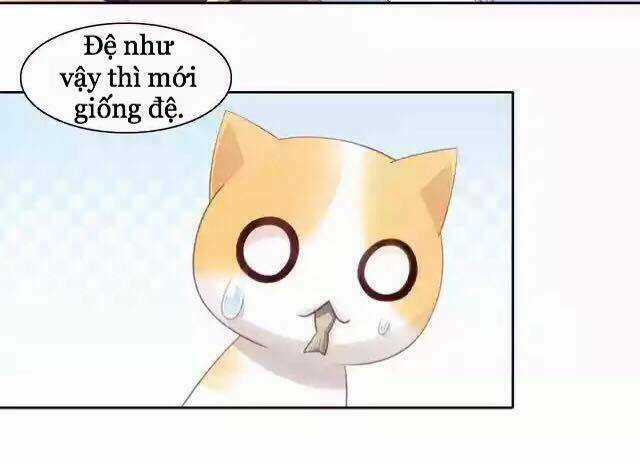 Dưới Móng Vuốt Mèo - Chapter 11 - Trang 33