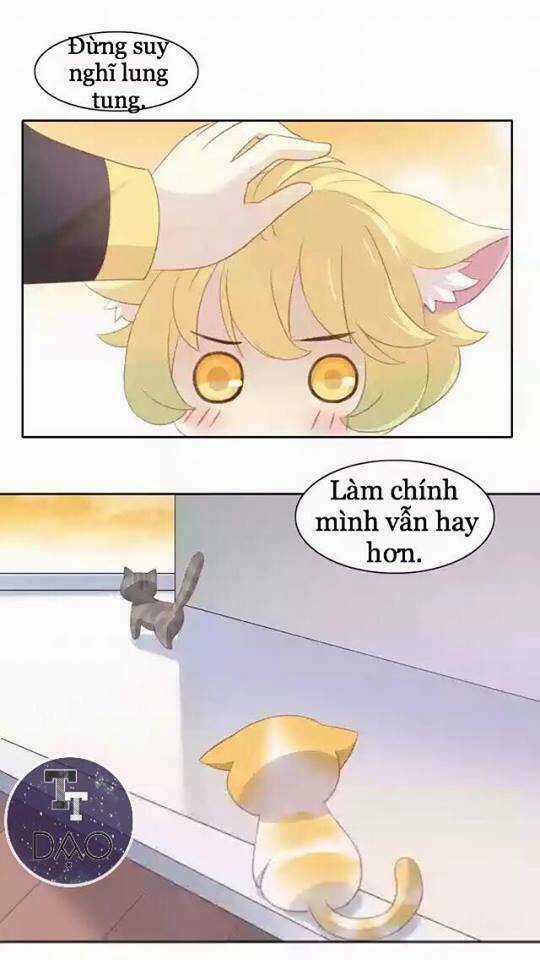 Dưới Móng Vuốt Mèo - Chapter 11 - Trang 36
