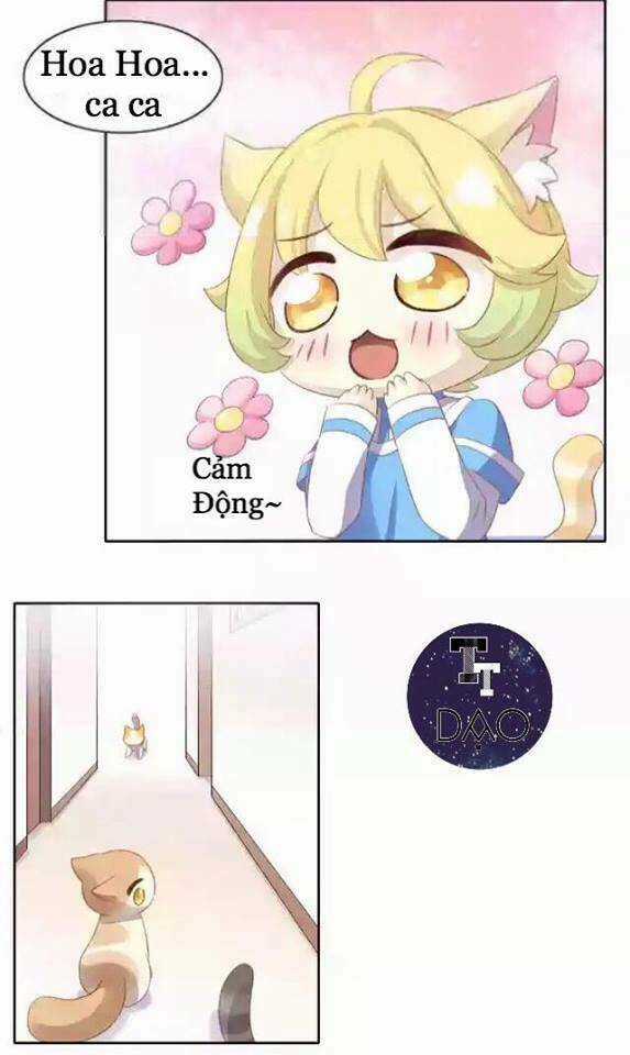Dưới Móng Vuốt Mèo - Chapter 11 - Trang 37