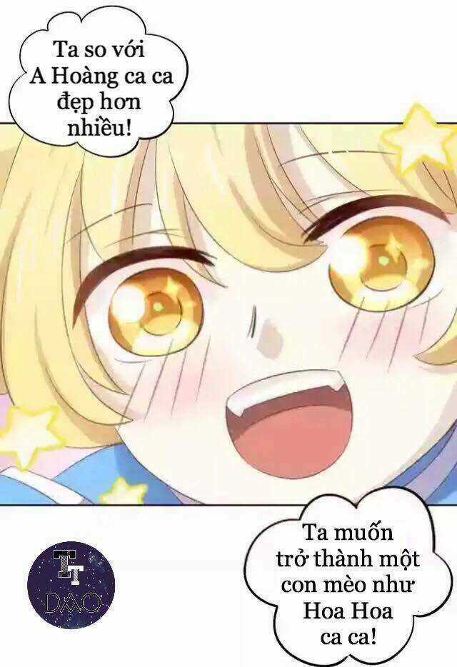 Dưới Móng Vuốt Mèo - Chapter 11 - Trang 44