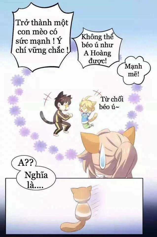 Dưới Móng Vuốt Mèo - Chapter 11 - Trang 46