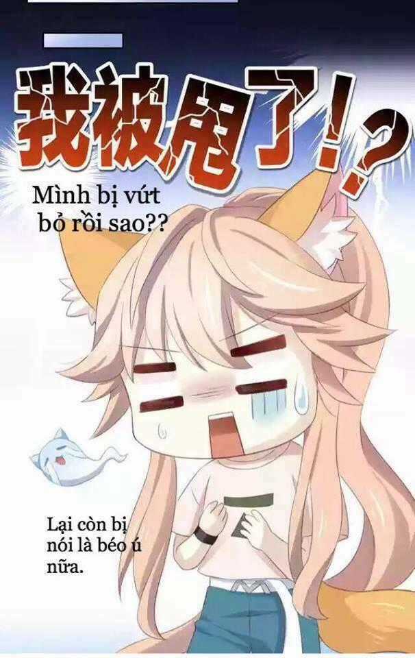 Dưới Móng Vuốt Mèo - Chapter 11 - Trang 47