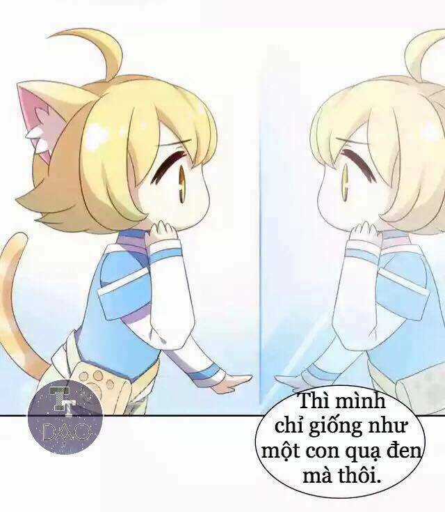 Dưới Móng Vuốt Mèo - Chapter 11 - Trang 6