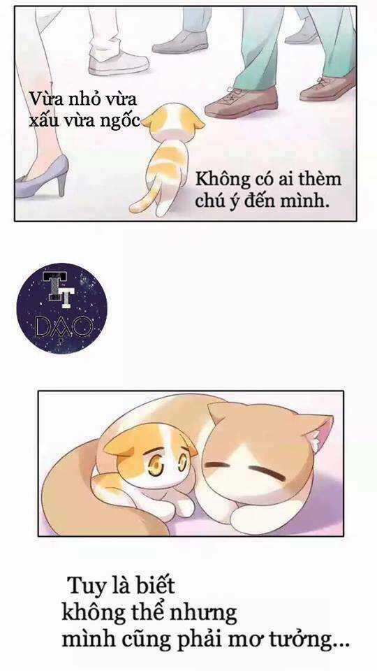 Dưới Móng Vuốt Mèo - Chapter 11 - Trang 7