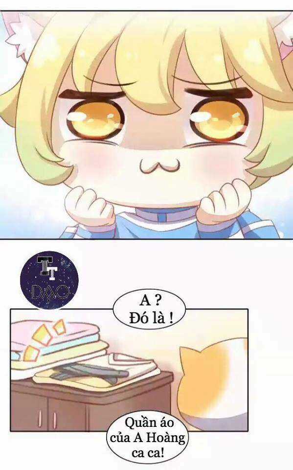 Dưới Móng Vuốt Mèo - Chapter 11 - Trang 9