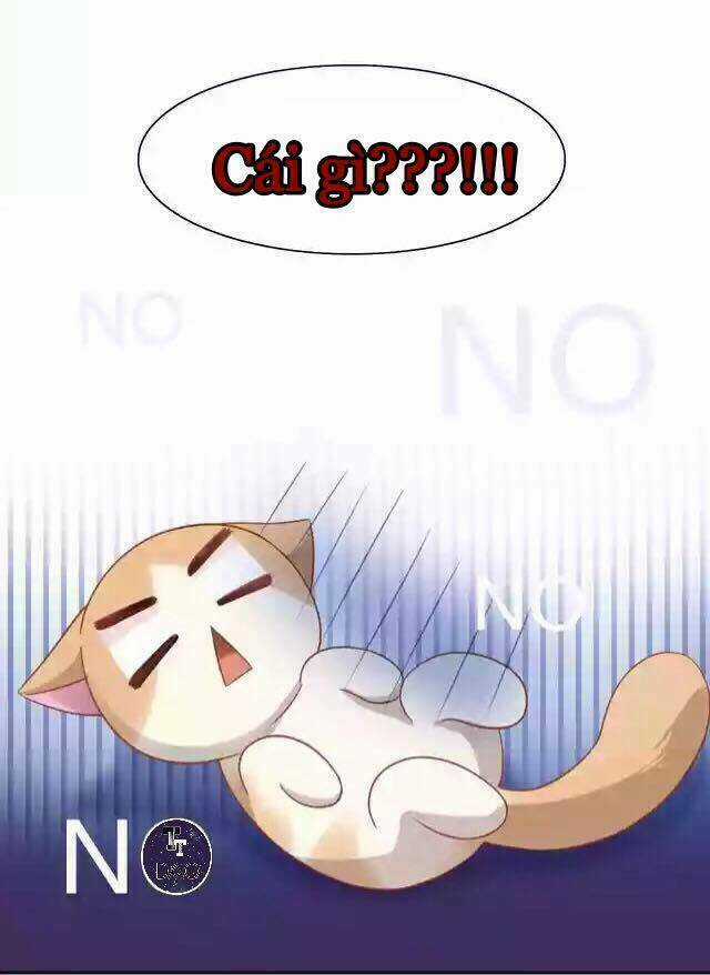 Dưới Móng Vuốt Mèo - Chapter 12 - Trang 12