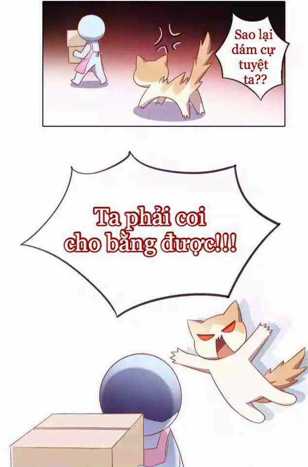 Dưới Móng Vuốt Mèo - Chapter 12 - Trang 13