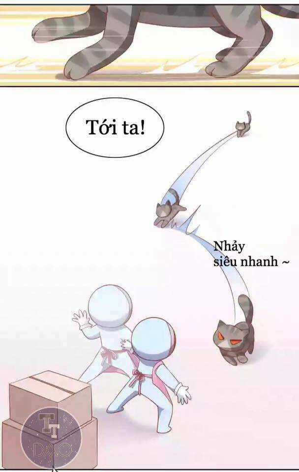 Dưới Móng Vuốt Mèo - Chapter 12 - Trang 16