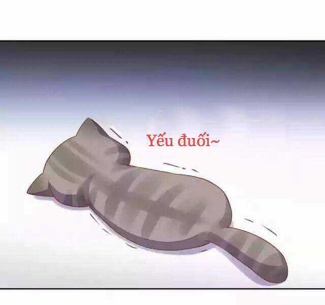 Dưới Móng Vuốt Mèo - Chapter 12 - Trang 19
