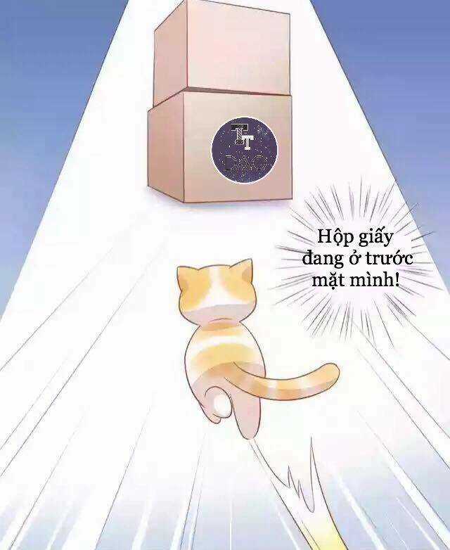 Dưới Móng Vuốt Mèo - Chapter 12 - Trang 22
