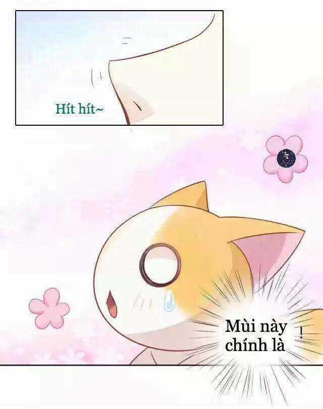 Dưới Móng Vuốt Mèo - Chapter 12 - Trang 23