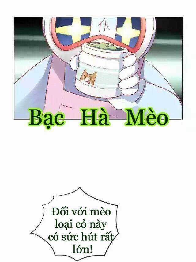 Dưới Móng Vuốt Mèo - Chapter 12 - Trang 24