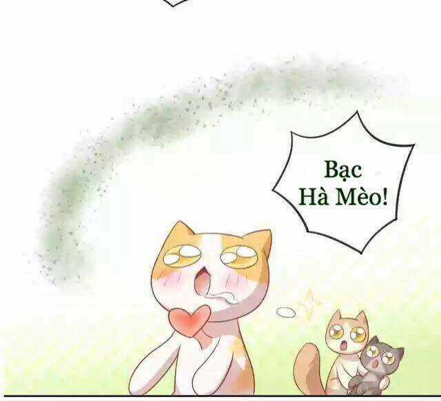 Dưới Móng Vuốt Mèo - Chapter 12 - Trang 25