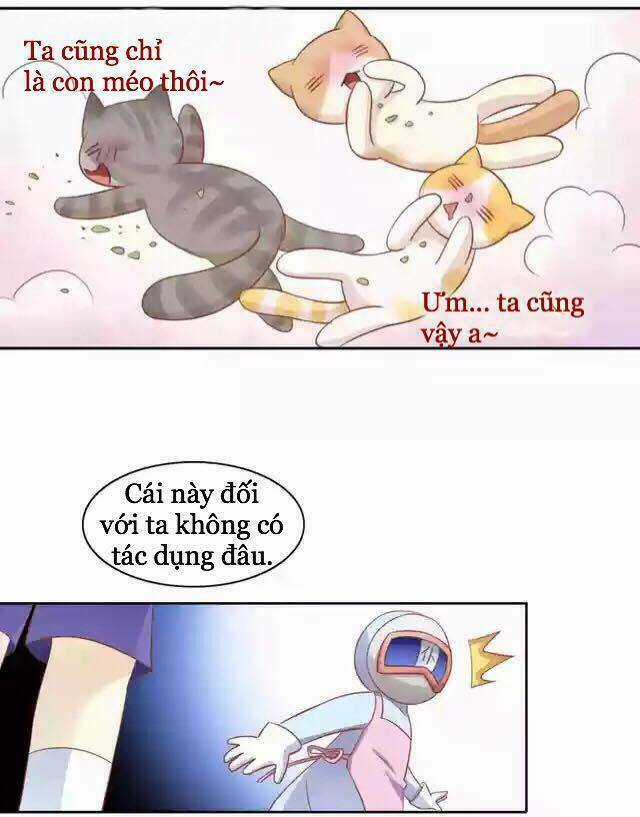 Dưới Móng Vuốt Mèo - Chapter 12 - Trang 26