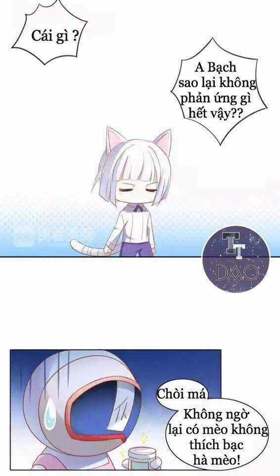 Dưới Móng Vuốt Mèo - Chapter 12 - Trang 27