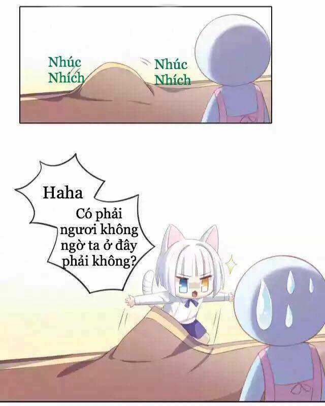 Dưới Móng Vuốt Mèo - Chapter 12 - Trang 31