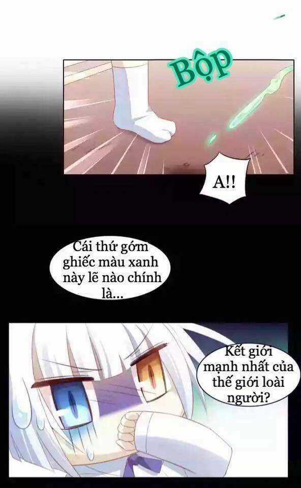 Dưới Móng Vuốt Mèo - Chapter 12 - Trang 32