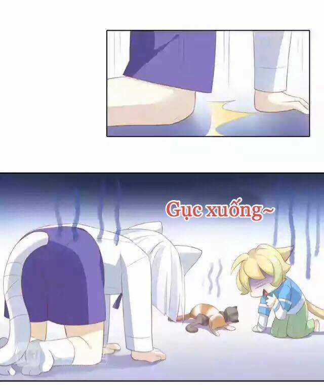 Dưới Móng Vuốt Mèo - Chapter 12 - Trang 34