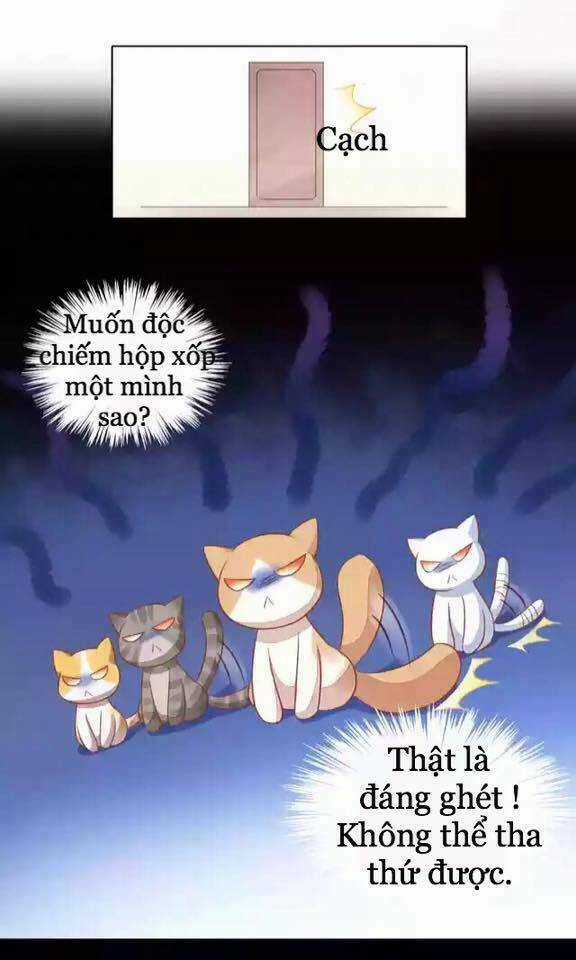 Dưới Móng Vuốt Mèo - Chapter 12 - Trang 36