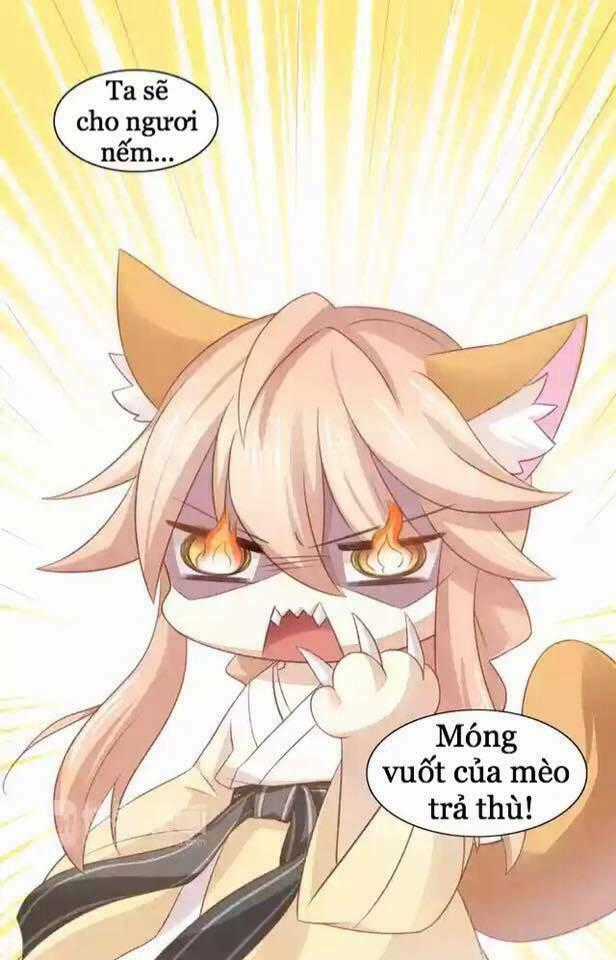 Dưới Móng Vuốt Mèo - Chapter 12 - Trang 38