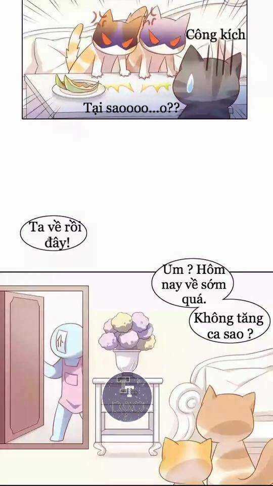 Dưới Móng Vuốt Mèo - Chapter 12 - Trang 5