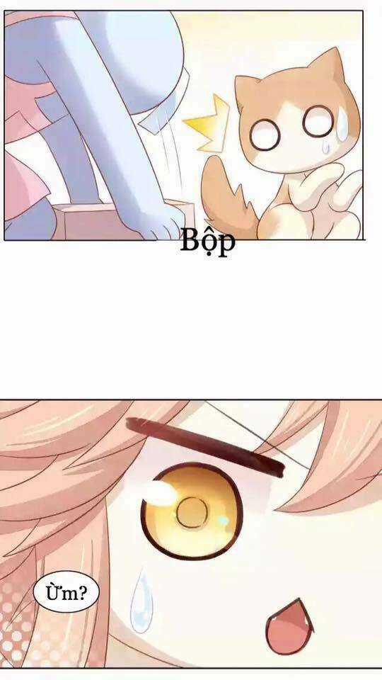 Dưới Móng Vuốt Mèo - Chapter 12 - Trang 7