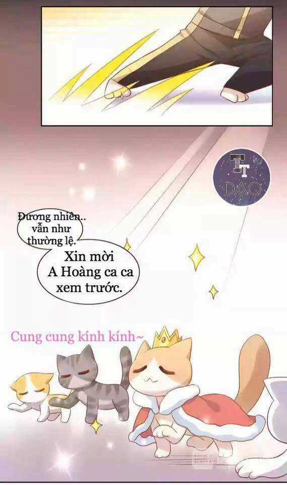 Dưới Móng Vuốt Mèo - Chapter 12 - Trang 9