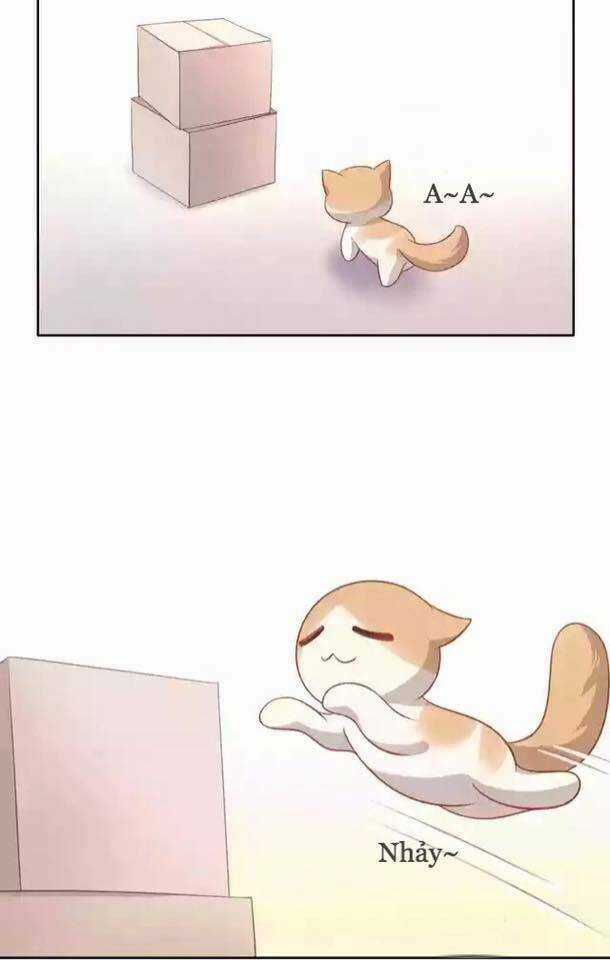 Dưới Móng Vuốt Mèo - Chapter 12 - Trang 10