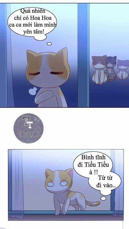 Dưới Móng Vuốt Mèo - Chapter 13 - Trang 12