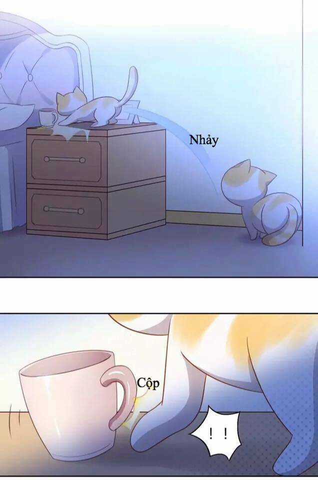 Dưới Móng Vuốt Mèo - Chapter 13 - Trang 13