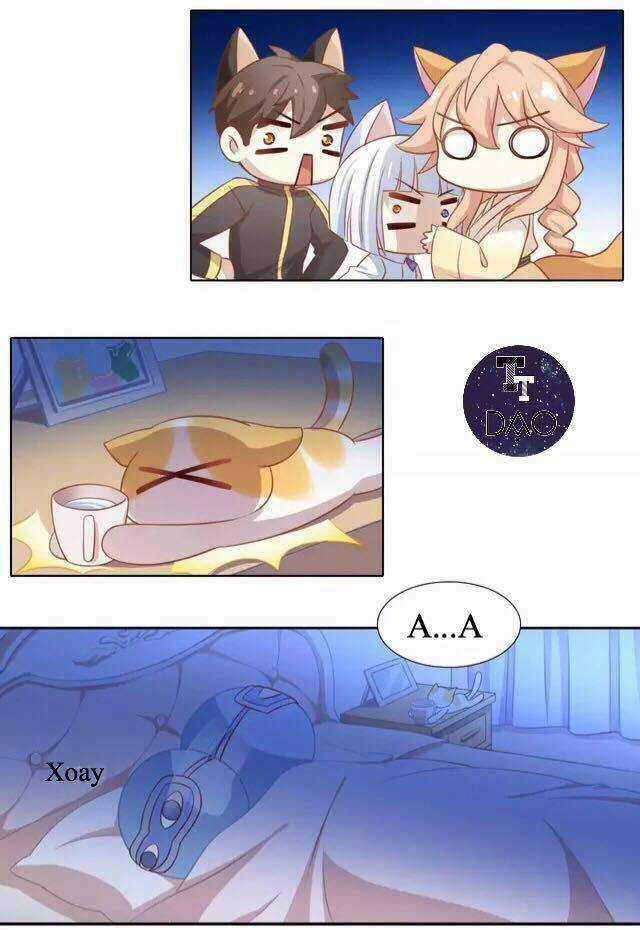 Dưới Móng Vuốt Mèo - Chapter 13 - Trang 15