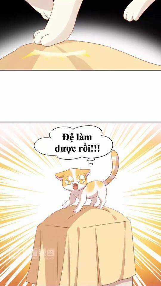 Dưới Móng Vuốt Mèo - Chapter 13 - Trang 17