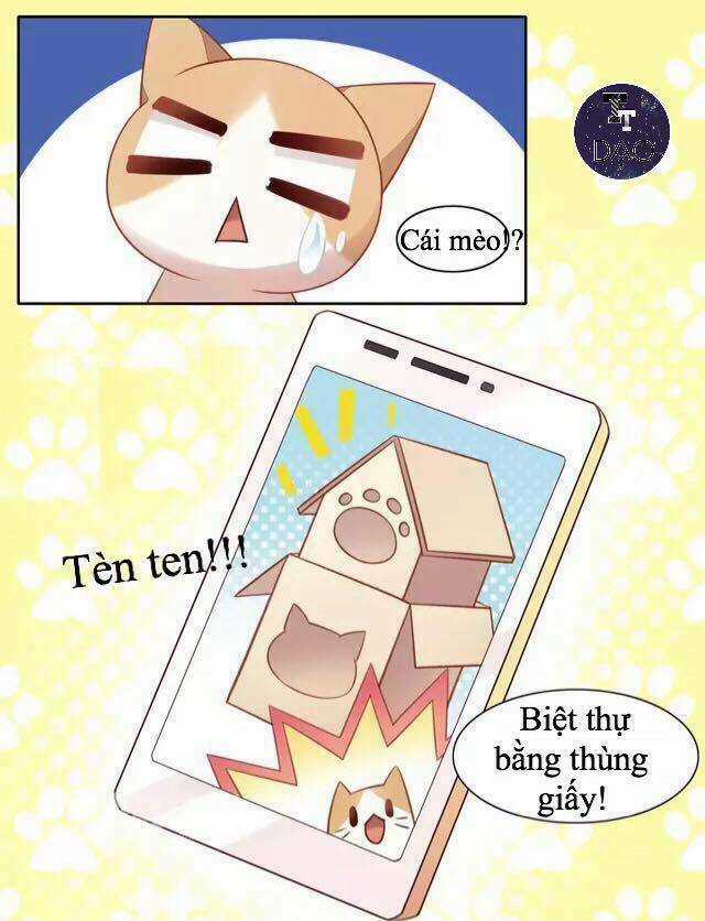 Dưới Móng Vuốt Mèo - Chapter 13 - Trang 23