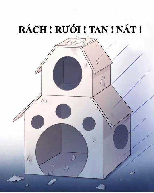 Dưới Móng Vuốt Mèo - Chapter 13 - Trang 26