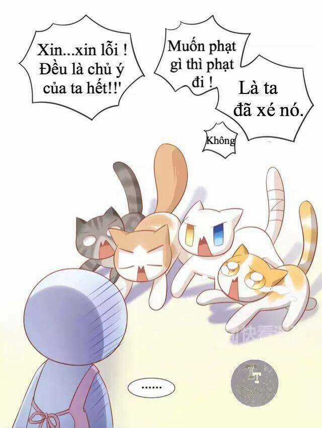 Dưới Móng Vuốt Mèo - Chapter 13 - Trang 29
