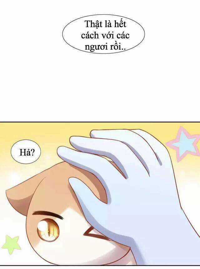 Dưới Móng Vuốt Mèo - Chapter 13 - Trang 31