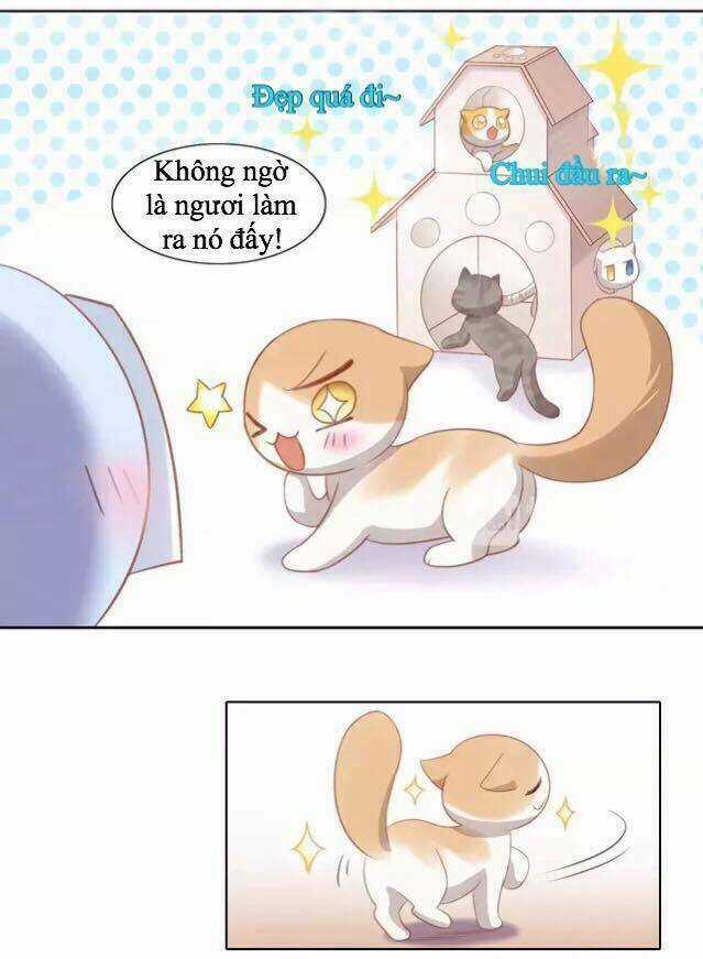 Dưới Móng Vuốt Mèo - Chapter 13 - Trang 35
