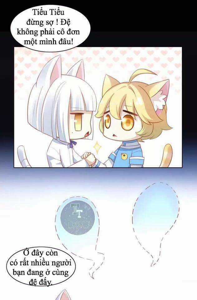 Dưới Móng Vuốt Mèo - Chapter 13 - Trang 9