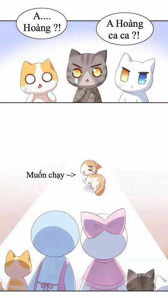 Dưới Móng Vuốt Mèo - Chapter 14 - Trang 18