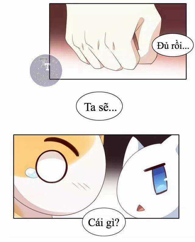 Dưới Móng Vuốt Mèo - Chapter 14 - Trang 21