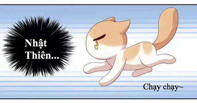 Dưới Móng Vuốt Mèo - Chapter 14 - Trang 26