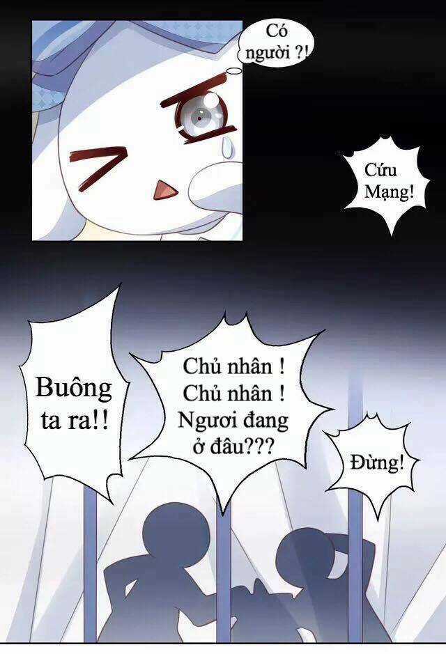 Dưới Móng Vuốt Mèo - Chapter 14 - Trang 31