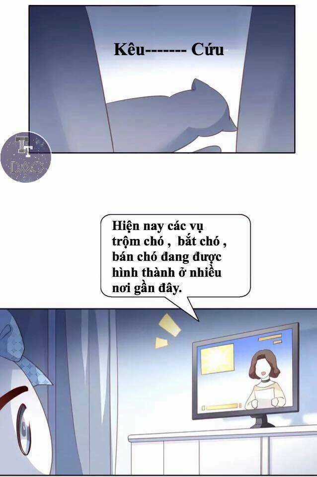 Dưới Móng Vuốt Mèo - Chapter 14 - Trang 32