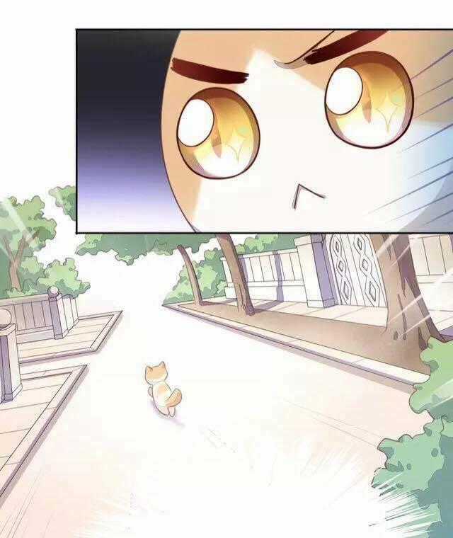 Dưới Móng Vuốt Mèo - Chapter 14 - Trang 40