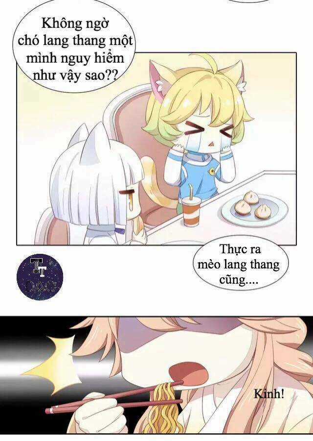 Dưới Móng Vuốt Mèo - Chapter 14 - Trang 6