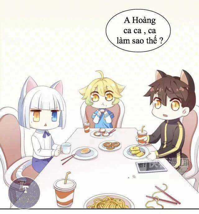 Dưới Móng Vuốt Mèo - Chapter 14 - Trang 8