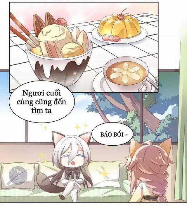 Dưới Móng Vuốt Mèo - Chapter 15 - Trang 2