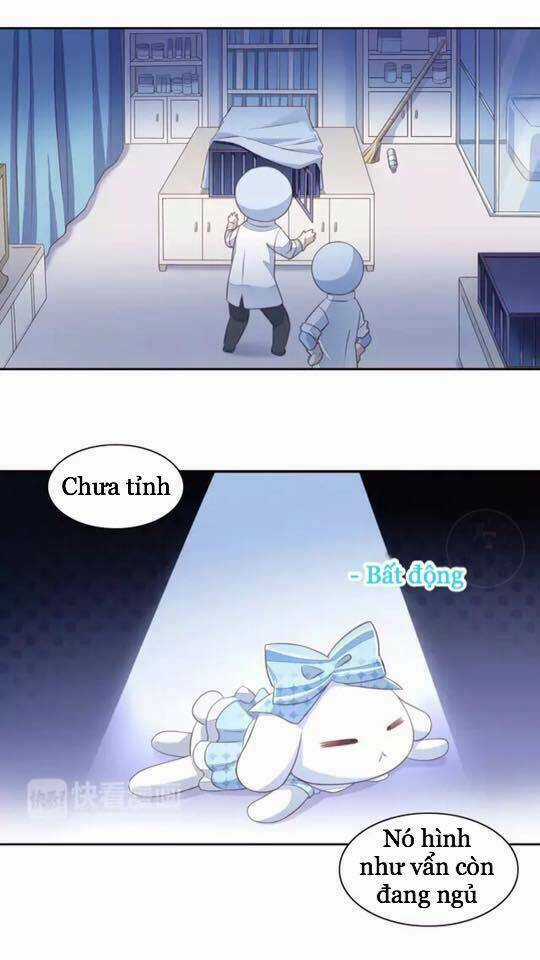 Dưới Móng Vuốt Mèo - Chapter 15 - Trang 11